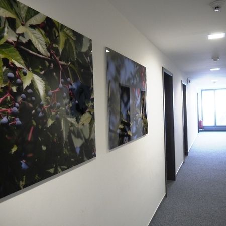 Unsere regionale Fotokunst