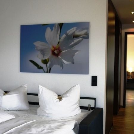 Appartement 11, Schlafcouch