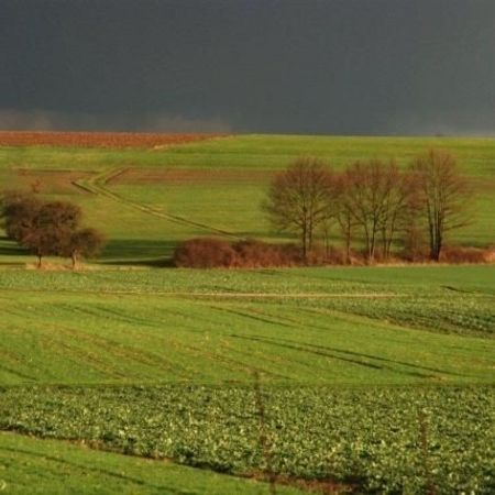 Unsere Natur - Richtung Friesen